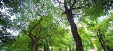 北部湾广场10