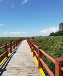 北部湾广场17