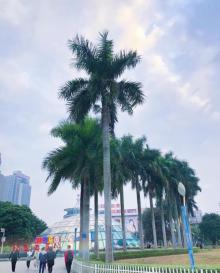 北部湾广场8