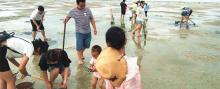 红树林赶海服务中心10