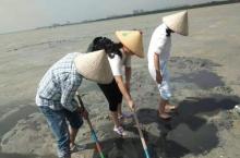 红树林赶海服务中心11