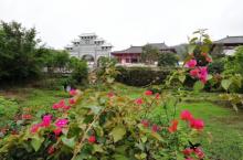 冠头岭国家森林公园19