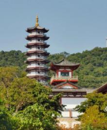 冠头岭国家森林公园20