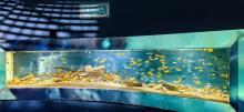 海洋之窗30