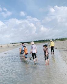 红树林天天赶海25
