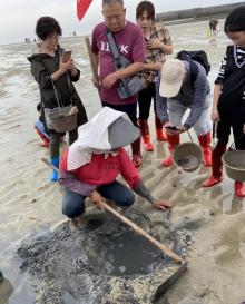 红树林天天赶海30