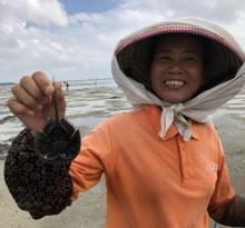 红树林天天赶海15