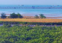 海陵岛20