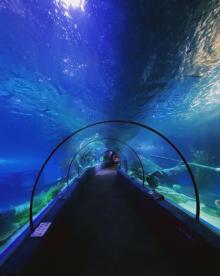 北海海底世界26