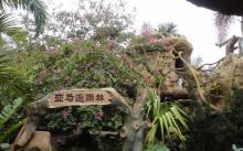 北海海底世界17