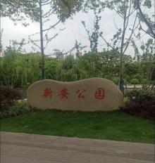 新安公园1