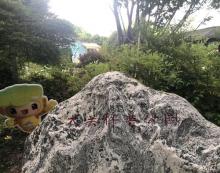 大关科普公园1