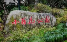 小百花公园8