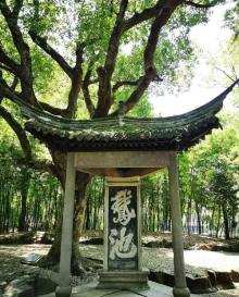 鹅池7