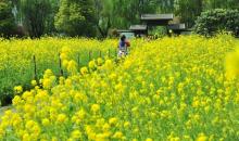 三山岛4