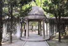 刘氏梯号15