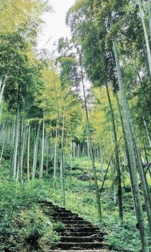 天下银坑景区2
