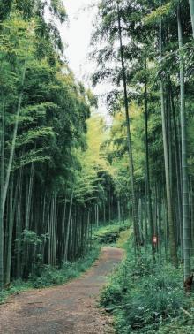 天下银坑景区3