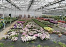 长安花卉科技示范园区1