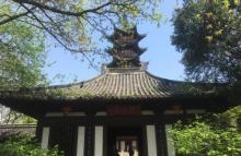 应天塔6