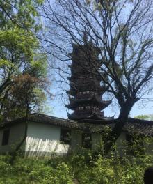 应天塔7