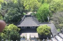 应天塔9