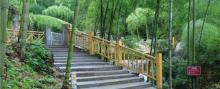 七星谷景区24
