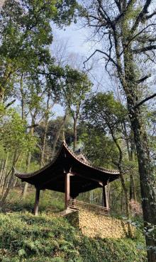 灵峰山景区15