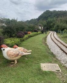 鲁家村9