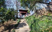塔山公园6