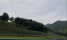 骑行公园6