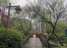 石塘公园2