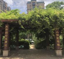 长虹公园1