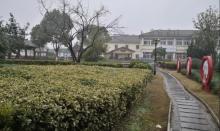 南翔公园1