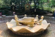 投缘池2