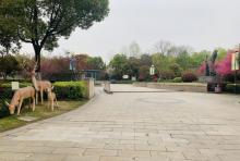 紫荆花公园4