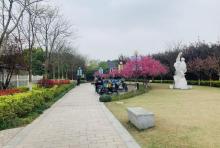 紫荆花公园5