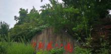 紫荆花公园6