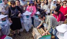 莫干山陌野农场16