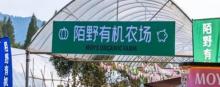 莫干山陌野农场4