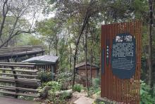 白蛇飞渡2