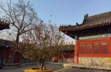 北京智化寺铜钟2