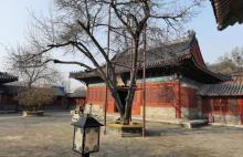 北京智化寺铜钟5