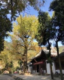 灵峰寺6