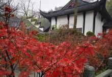 灵峰寺3