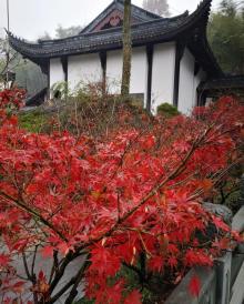 灵峰寺1
