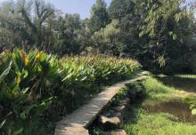 龙泓涧景区1