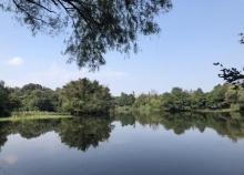龙泓涧景区2