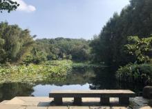 龙泓涧景区3