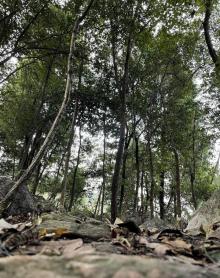 火线岭登山基地2